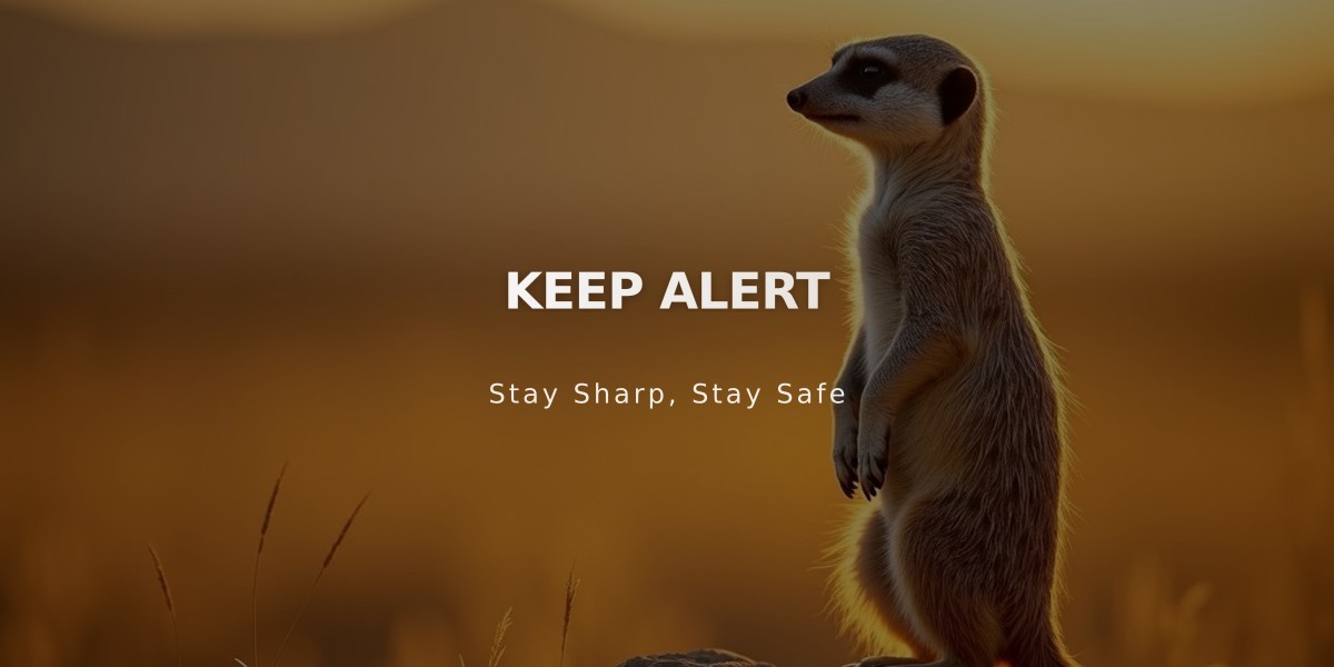 Stay Alert: A Biblical Call to Spiritual Vigilance