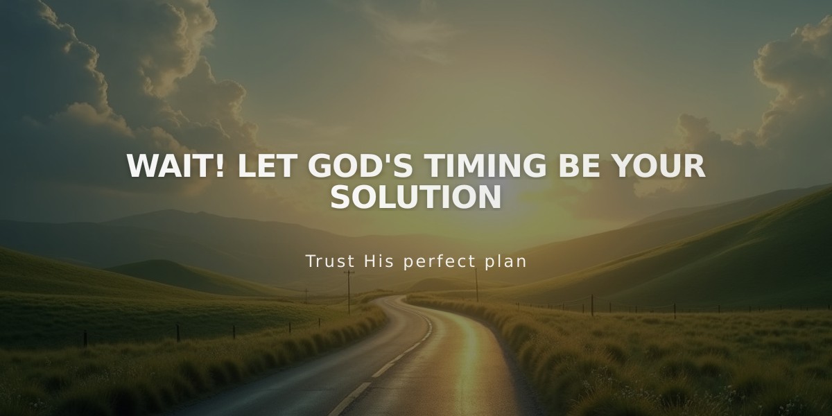 Wait! Let God's Timing Be Your Solution