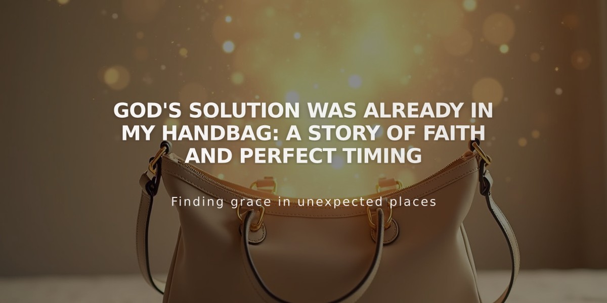 God's Solution Was Already in My Handbag: A Story of Faith and Perfect Timing