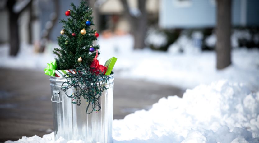 Discarded Christmas tree in trash