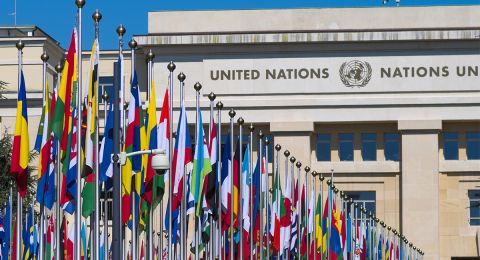 UN flags outside headquarters building