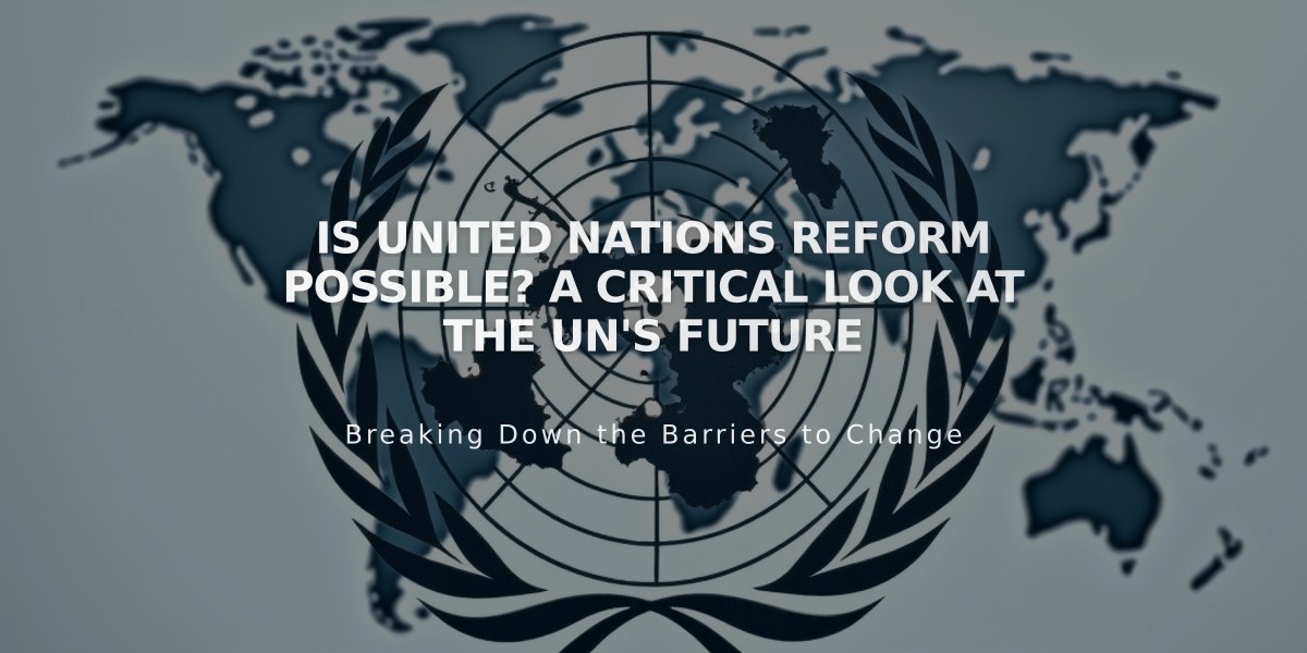 Is United Nations Reform Possible? A Critical Look at the UN's Future