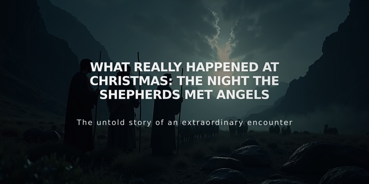 What Really Happened at Christmas: The Night the Shepherds Met Angels