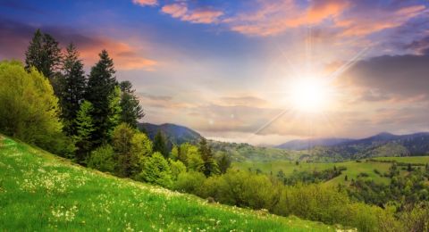 Green hills dotted with yellow flowers