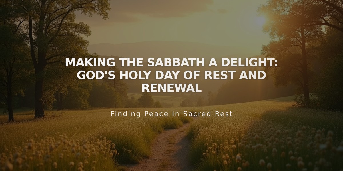 Making the Sabbath a Delight: God's Holy Day of Rest and Renewal