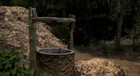 Stone well in wooded area