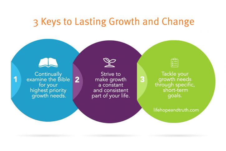 Three circles with knowledge growth icons