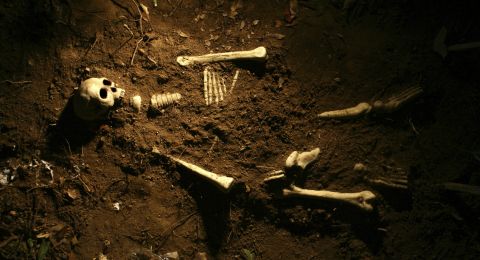 Scattered human skeleton on soil