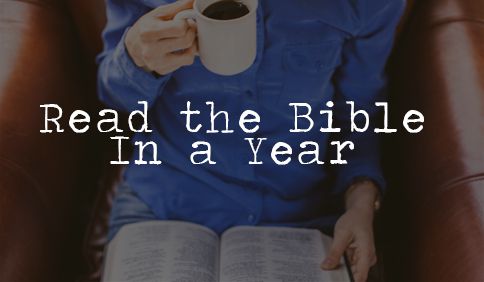 Person reading Bible with coffee mug