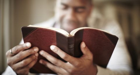 Person reading Bible outdoors