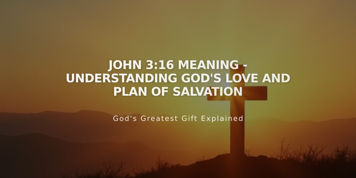 John 3:16 Meaning - Understanding God's Love and Plan of Salvation