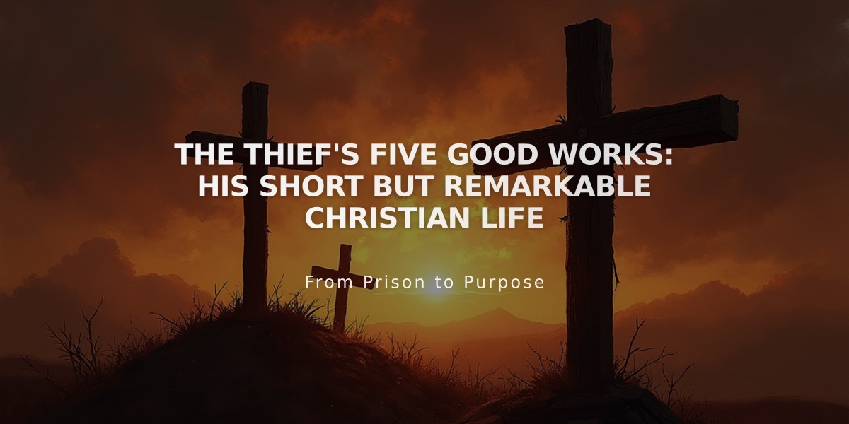 The Thief's Five Good Works: His Short but Remarkable Christian Life