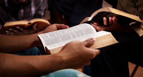 People studying Bibles together