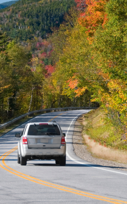 Car drives through forest road