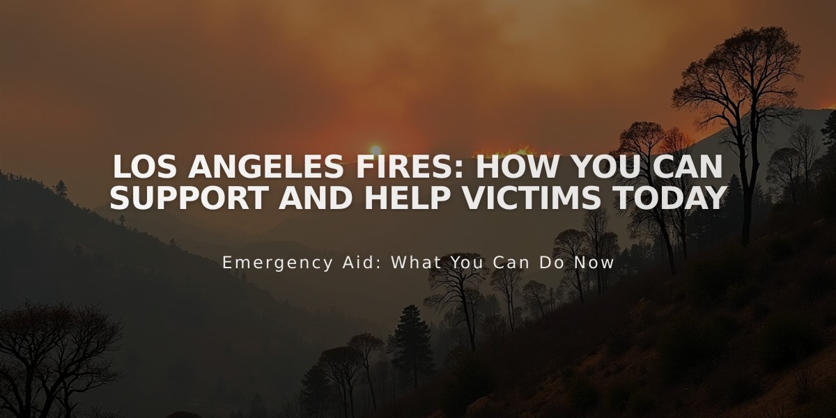 Los Angeles Fires: How You Can Support and Help Victims Today