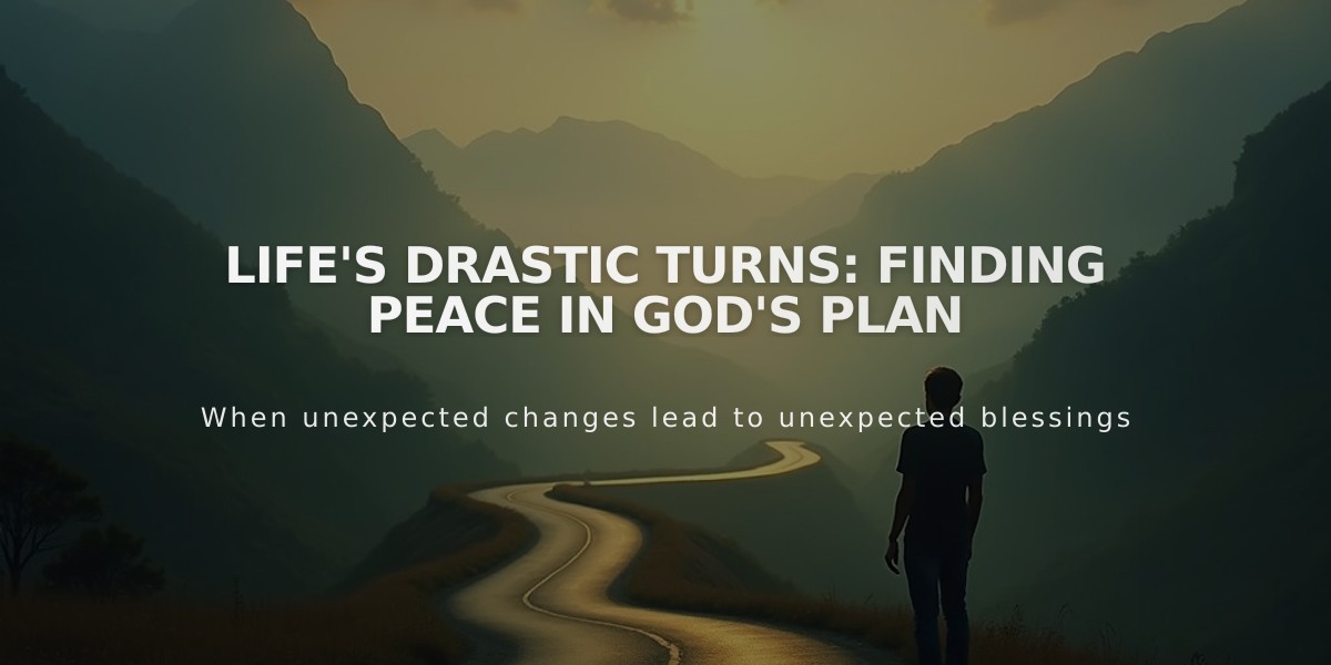 Life's Drastic Turns: Finding Peace in God's Plan