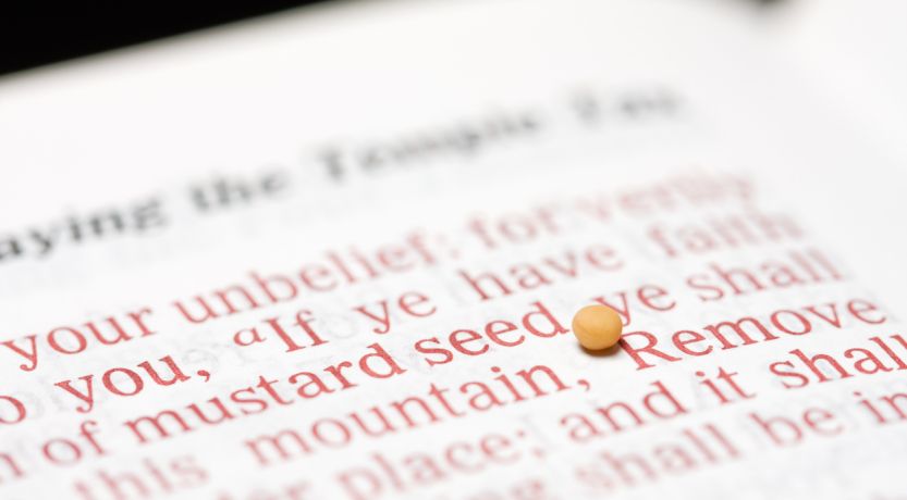 Tiny mustard seed on paper