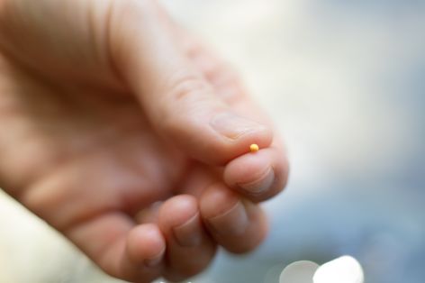 Hand holding tiny mustard seed