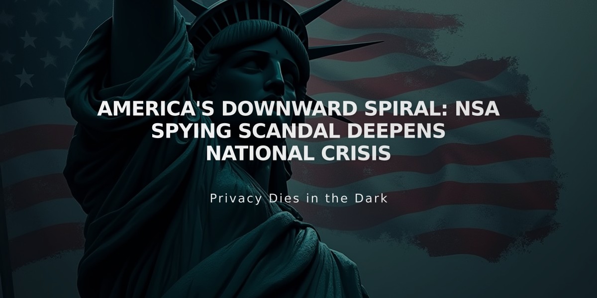 America's Downward Spiral: NSA Spying Scandal Deepens National Crisis