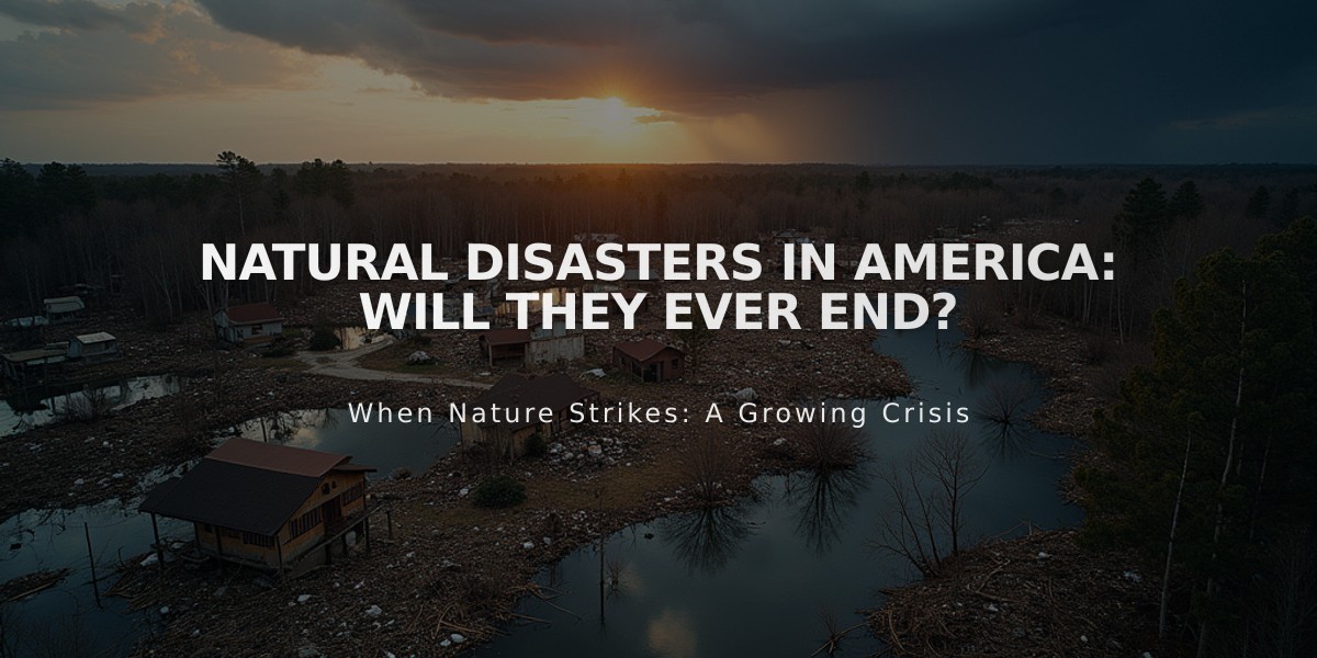 Natural Disasters in America: Will They Ever End?