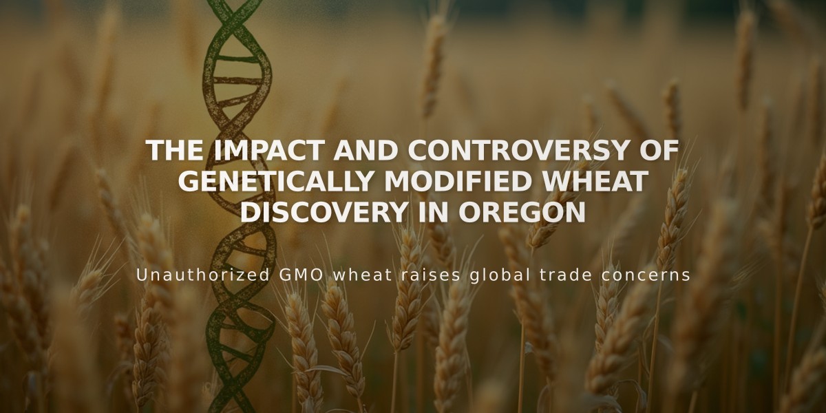 The Impact and Controversy of Genetically Modified Wheat Discovery in Oregon