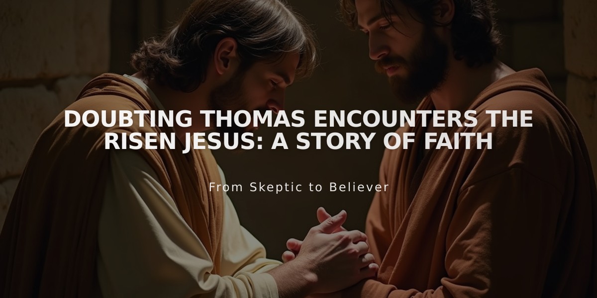 Doubting Thomas Encounters the Risen Jesus: A Story of Faith