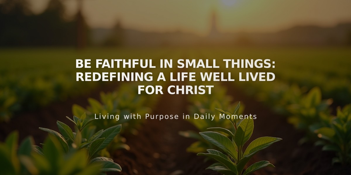 Be Faithful in Small Things: Redefining a Life Well Lived for Christ