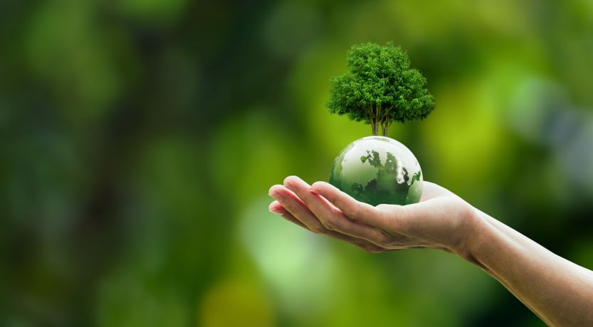 Hand holding Earth with small tree