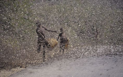 Locusts swarming over African landscape