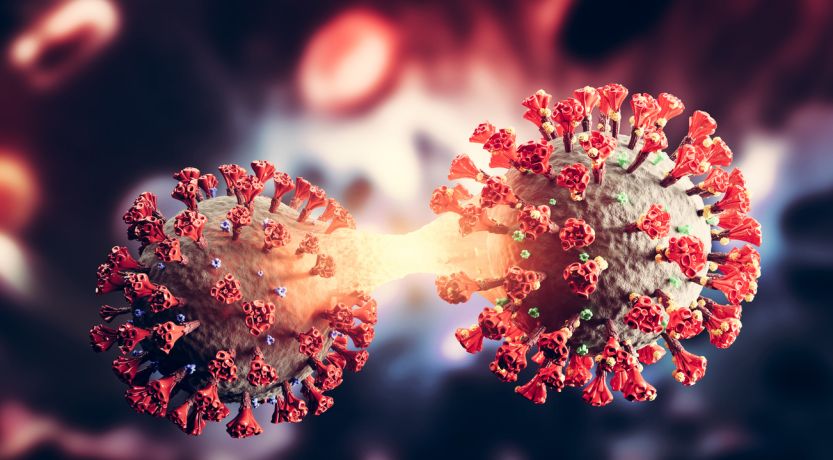 3D rendering of coronavirus cells