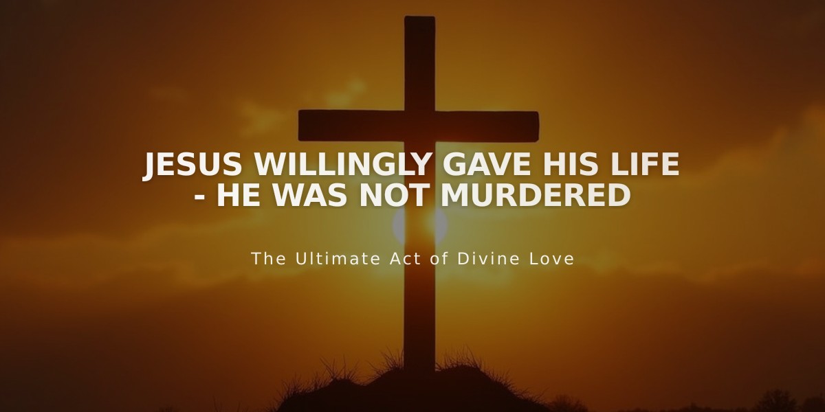 Jesus Willingly Gave His Life - He Was Not Murdered