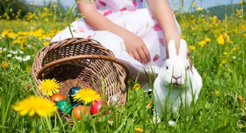 Easter eggs in green grass basket